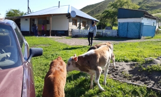 Карабулак АЙНУР