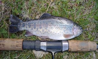 Рыбалка на форель