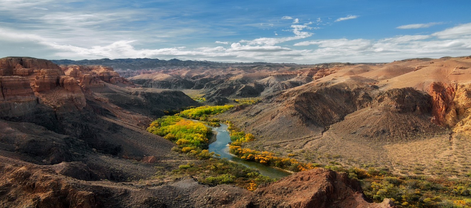 ясеневая роща